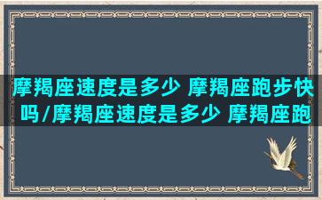 摩羯座速度是多少 摩羯座跑步快吗/摩羯座速度是多少 摩羯座跑步快吗-我的网站